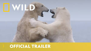 It's stood there, just south of colorado, since. Thursday April 22 Enter The Secret Kingdom Of The Polar Bears On Nat Geo Wild