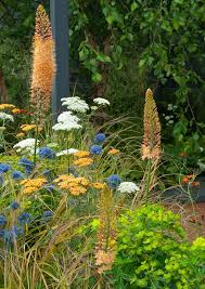 The Landform Garden Was Designed By Catherine Macdonald And Sponsored And Built By Landform Consultants It Won Gold And B Garden Design Coastal Gardens Plants