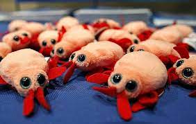 Photography Creepy Stuffed Animals Bed Bugs Infestation Bed Bugs