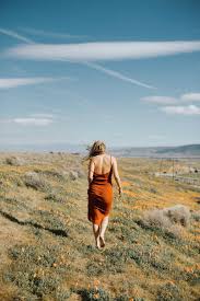 Social media is destroying antelope valley california poppy. 5 Flower Fields To Visit In Southern California The Style Sauce