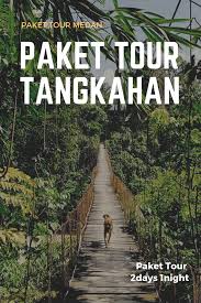 Highlights Paket Tour Tangkahan Pantai Kupu Kupu Hutan Konservasi Alam Tangkahan Pemandian Gajah Hot Spring Air Terjun Kecil Pe Tours Pantai Air Terjun