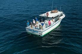 Hook A Winning Catch With Pure Naples Fishing Charters Must Do Visitor Guides Fishing Charters Marco Island Florida Florida Vacation