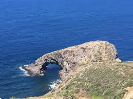 68 hectares (168 acres) in production split into 14 districts Pantelleria S Elephant