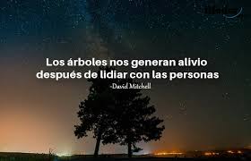 De arboles delimitacion desaparicion del ecosistema (arboles) introducción la comunidad de santa gertrudis cosoltep oaxaca, hoy en día se ha visto que existe la tala de árboles que se puede identificar como uno de los principales problemas que se está dando en la misma. Las 101 Mejores Frases De Arboles