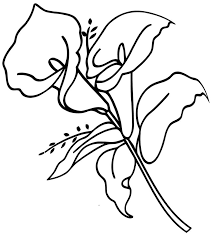 Maybe you would like to learn more about one of these? Coloring Pages Lilies Coloring Pages For Kids