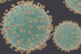 He ran over and fought the dog and killed it. The Best Coronavirus Jokes As Football Is Suspended Due To Covid 19