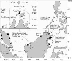 According to tripadvisor travelers, these are the best ways to experience menara tun mustapha Map Showing The Location Of Pulau Tiga Within The Tun Mustapha Park Download Scientific Diagram