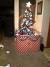 Baby Christmas Tree Plant