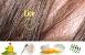 Early Stage Killing Lice
