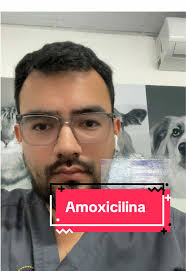 Amoxicilina Con Ácido Clavulanico