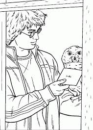 Who does not know harry potter, the hero of the fantasy book series written by british author jk rowling? Harry Potter And Owl For Letter Coloring Pages Free New Coloring Coloring Home