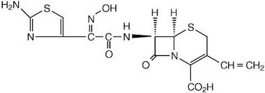 Omnicef Capsules Omnicef For Oral Suspension Abbott Drug