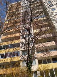 Wohnung zur miete in offenbach am main. 3 Zimmer Wohnung Zu Vermieten Hermann Steinhauser Strasse 18 63065 Offenbach Am Main Stadtmitte Mapio Net