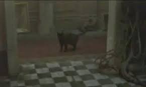 I have a few drafts, so prepare for a bit of a post spam sooner or later. Glitch In The Matrix Gif 3 Gif Images Download