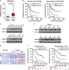 It does not mean you have pancreatic cancer and your gp may be able to resolve your symptoms easily. Fam83a Is Amplified And Promotes Cancer Stem Cell Like Traits And Chemoresistance In Pancreatic Cancer Oncogenesis