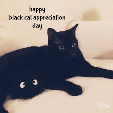 Today is black cat appreciation day, and what better to do on a day like this than to check out some pretty black cats on instagram?! Happy Black Cat Appreciation Day Marcy Very Much