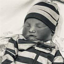 Sincere A'donis Rheign Posey Obituary (2023)