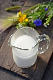 Lait D Avoine Cru En 5 Minutes Recette Lait Lait Vegetal Lait Vegan