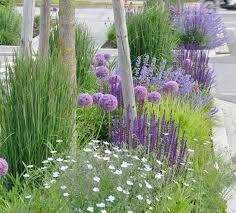 Stauden Die Langerkonner Gartenzauber Garten Bepflanzen Garten Pflanzen Stauden