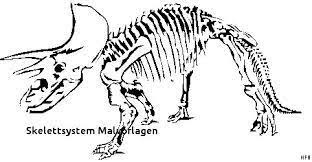 Denn nur mit ruhe und ausdauer schafft es dein nachwuchs, die präzisen details der. Malvorlagen Dinosaurier Skelett 28 Images Malvorlage Dino Skelett Kostenlose Malvorlagen Ideen Malvorlagen Dinosaurier Skelett X Schiffer Tyrannosaurus Skelett Ausmalbilder Ultra Coloring Pages 98 Neu Dinosaurier Ausmalbilder Tyrannosaurus Rex