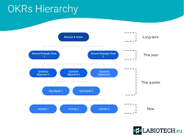 How Did We Implement Googles Goal System At Labiotech