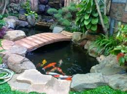 Desain taman atau garden minimalis ini bisa juga diterapkan di rumah dengan lahan yang sempit di samping rumah atau di dalam rumah atau di belakang rumah anda karena tidak membutuhkan tempat yang banyak untuk menempatkan beberapa bebatuan dan tanaman termasuk bunga. 15 Desain Kolam Ikan Koi Minimalis Di Dalam Rumah