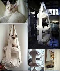 koshki v nashem dome idei domika dlya koshki svoimi rukami uchimsya delat vse sami koshachij gamak mebel dlya domashnih zhivotnyh koshachi doma