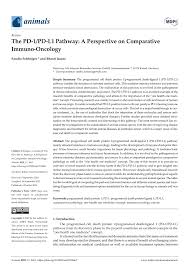 PDF) The PD-1PD-L1 Pathway: A Perspective on Comparative Immuno-Oncology