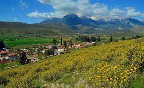 Maybe you would like to learn more about one of these? Vasilika Boeotia Wikipedia