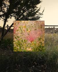 Image result for Renealmia susanneae-katziae