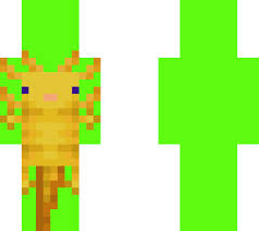 The title of the song is very important; This Is The Axolotl Song Minecraft Skin