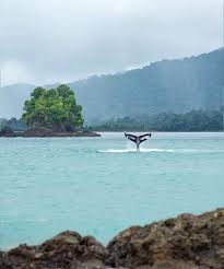 Bienvenidos a mi bella Colombia 🇨🇴 ♥️ “No viajamos para escapar de la  vida, viajamos para que la vida no se nos escape.” 💛💙❤️