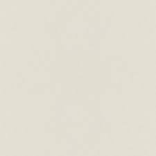 Image result for Pearl White 1984 Plymouth