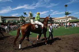 Del Mar Race Track Visitor Guide