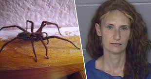 We did not find results for: Woman Set House On Fire After Finding Big Spider Unilad