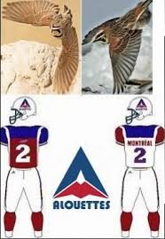 Jan 12, 2001 · l'alouette des champs est un passereau d'assez grande taille (17,5 à 19 cm de longueur, le mâle étant le plus grand). Montreal Alouettes Tweaked Retro Late 70 S Logo Now Worn Riderfan Forums
