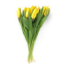 Web sites of airports are not much of help; Floral At Whole Foods Market