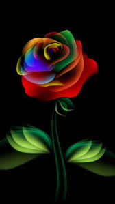 One And Only One Flower Wallpaper Colorful Wallpaper Flower Art