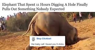 After reading this, readers are more interested in knowing more about it. 100 Times Stop Clickbait Hilariously Summarized Clickbait Articles And Saved You A Click New Pics Bored Panda