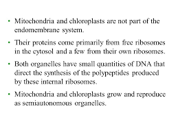 Endomembrane System - All The Organelle Components And Functions