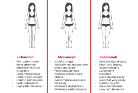 how to choose a workout based on your body type scitec