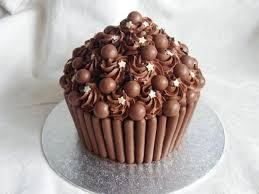 Www Berrynicecakes Co Uk Uploads 1 1 4 8 11484980 8952015 Orig Jpg Cupcake Recipes Chocolate Chocolate Giant Cupcake Birthday Cake Chocolate