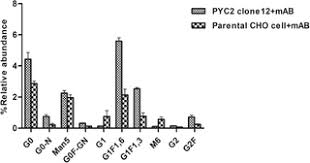 Host cells were then cultured on a reduced subculture regime for 40 days. Metabolic Engineering Of Cho Cells For The Development Of A Robust Protein Production Platform