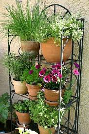 Gemuse Vom Balkon Mit Bildern Balkongarten Cottage Garten Design Topfgarten