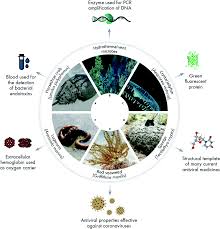 Victoria general houses the island's breast health centre, to screen and diagnose breast cancer. Unlocking The Potential Of Marine Biodiscovery Natural Product Reports Rsc Publishing Doi 10 1039 D0np00067a