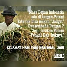 Gambar sketsa petani di sawah, gambar petani mencangkul di sawah, gambar petani menanam padi di sawah gambar kartun petani di sawah gambar gokil sumber majelisgokil.blogspot.com. Sejahterakan Petani Penuhi Hak Haknya Selamat Hari Tani Nasional 2015 Petani Makanan