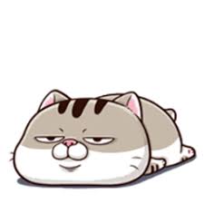 Pin On Fat Cat Gif