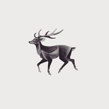 pin on deer