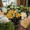 Over 50 colors flowers to complete your diy wedding ideas. 1