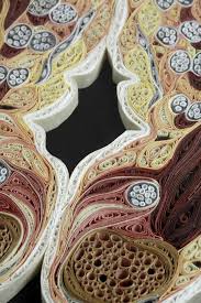 Unbelievable Anatomical Quilled Art By Lisa Nilsson Paper Art Paper Sculpture Art
